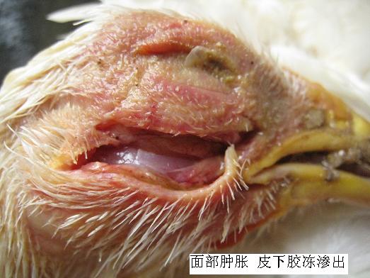 ���ʕr(sh��)��(y��ng)ԓ��ʲô��λ��ʲô��λ�l(f��)��ʲô����